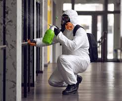 Best Asbestos and Lead Testing During Mold Inspection  in Centre Grove, NJ